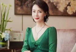 陈数演的电视剧