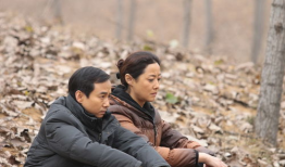 一句顶一万句电视剧,探寻情感与语言的奥秘